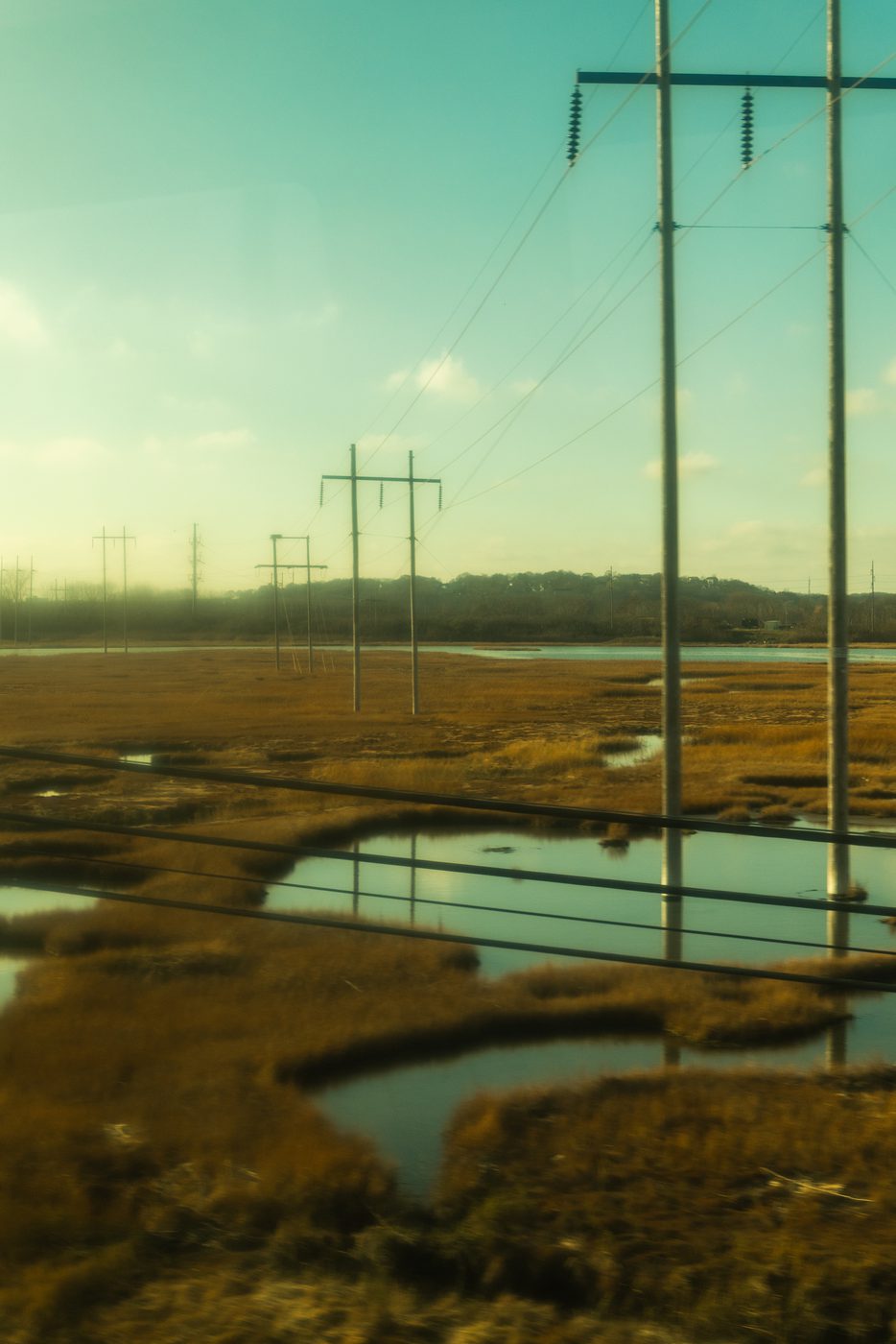 Lines Over the Marsh