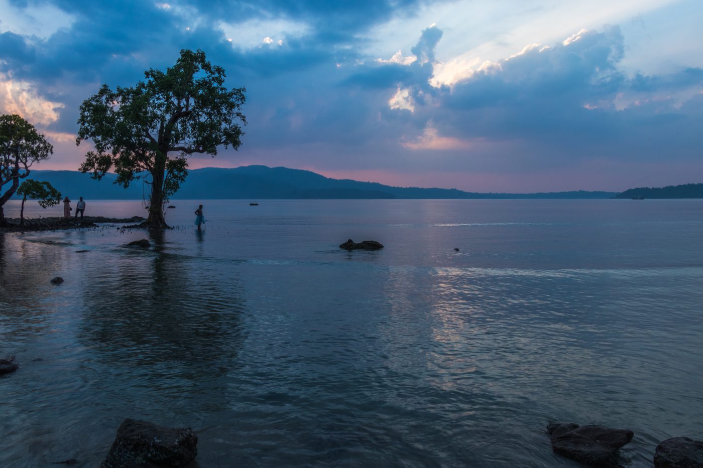 The Lone Tree
