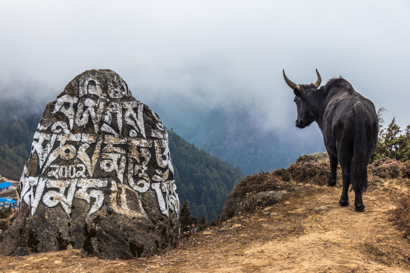 Mani Stone and Yak