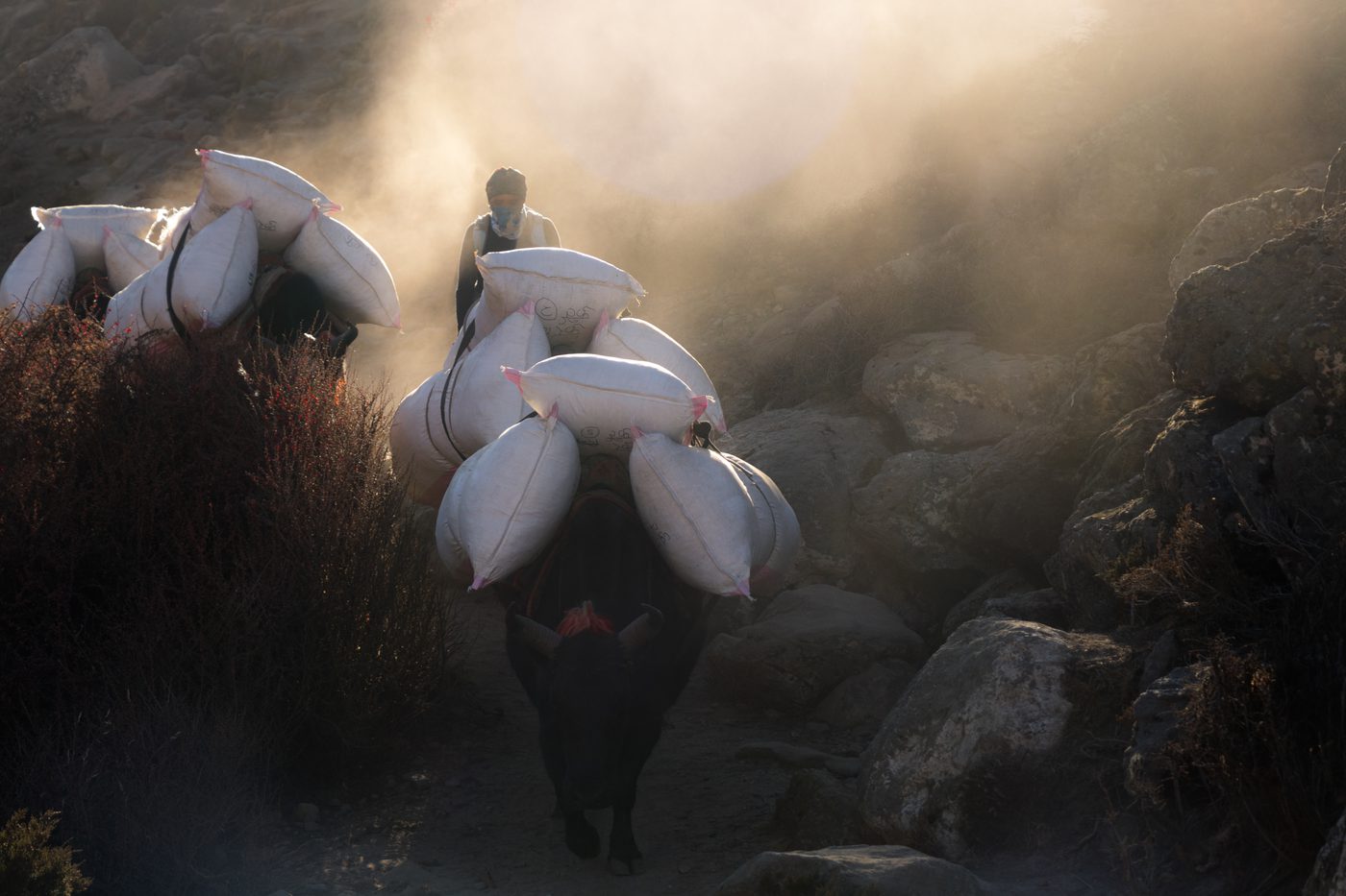 The Porter at Dawn